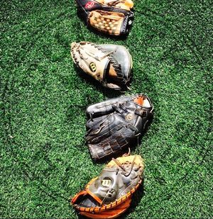 Image post by @duluthhuskies on Instagram