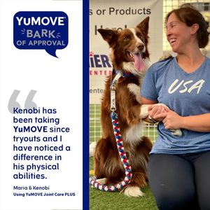 Image post by @yumove_usa on Instagram