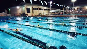 Image post by @purduewswimdive on Instagram