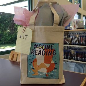 Image post by @stjohnscountylibrary on Instagram