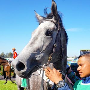 Image post by @australianturfclub on Instagram