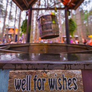 Image post by @electric_forest on Instagram