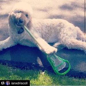 Image post by @cascade_lacrosse on Instagram