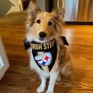 Image post by @steelers_nation_unite on Instagram