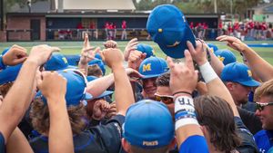 Video post by @mcneesebaseball on Twitter