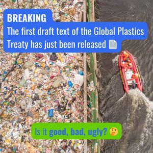 Image post by @greenpeace on Instagram