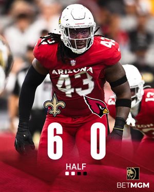 Image post by @AZCardinals on Twitter