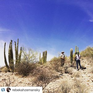 Image post by @cronkiteglobal on Instagram