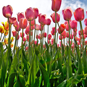 Image post by @saycheezestudios on Instagram