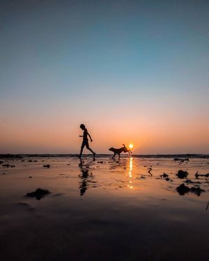 Image post by @moment on Instagram