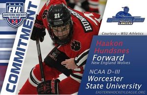 Image post by @easternhockeyleague on Instagram
