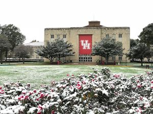 Image post by @universityofhouston on Instagram