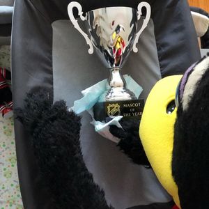 Image post by @bhawktommyhawk on Instagram