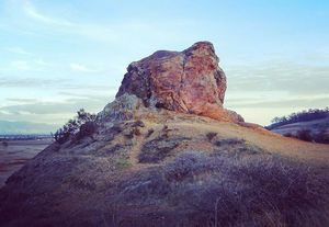 Image post by @kqed on Instagram