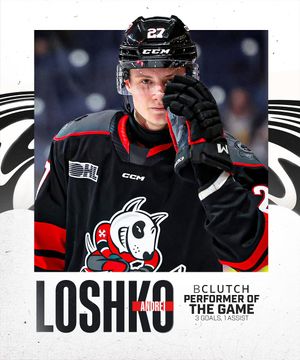 Image post by @ohlicedogs on Instagram