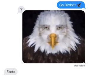 Video post by @philadelphiaeagles on TikTok