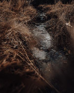 Image post by @kpearsonmedia on Instagram