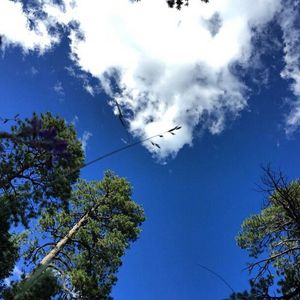 Image post by @nauflagstaff on Instagram