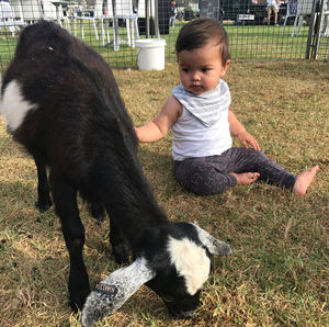 Image post by @australianturfclub on Instagram