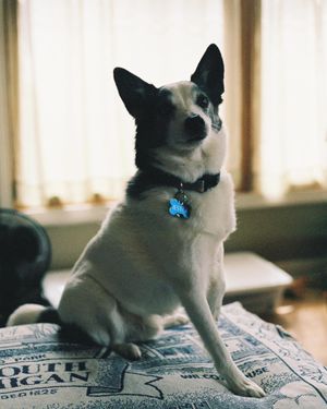 Image post by @neillarson on Instagram