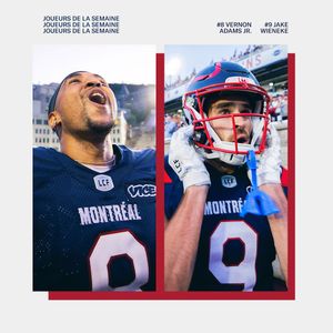 Image post by @mtlalouettes on Instagram