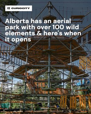 Image post by @curiocitycalgary on Instagram