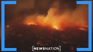 Video post by @newsnation on YouTube