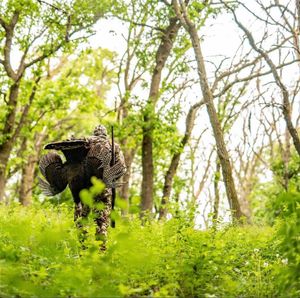 Image post by @mysteryranch on Instagram