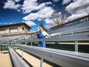 Image post by @spearfishsasquatch on Instagram