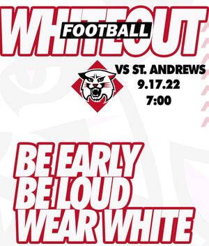 Image post by @davidsonfb on Twitter