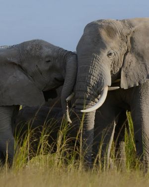 Image post by @natgeotv on Instagram
