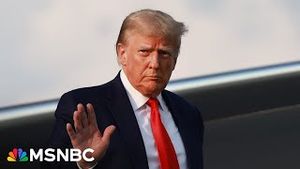 Video post by @msnbc on YouTube