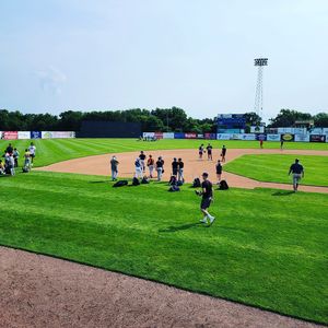 Image post by @burlington_bees on Instagram