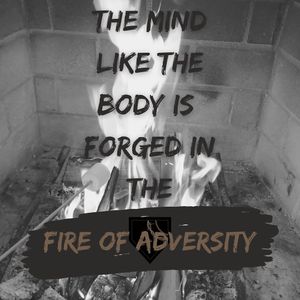 Image post by @thefortmckenry on Instagram