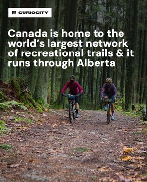 Image post by @curiocitycalgary on Instagram