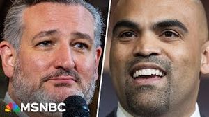 Video post by @msnbc on YouTube