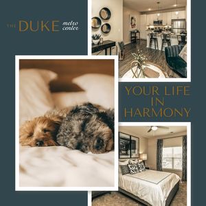 Image post by @TheDukeMetrocenter on Facebook