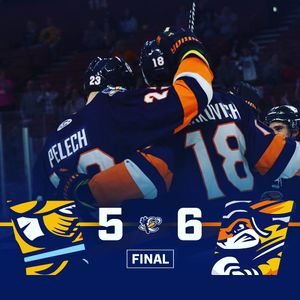 Image post by @swamprabbits on Instagram