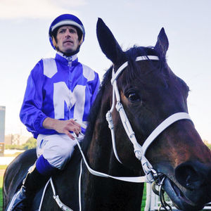 Image post by @australianturfclub on Instagram