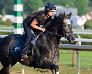 Image post by @thoroughbred_daily_news on Instagram