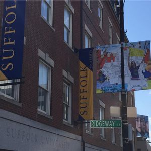 Image post by @gosuffolkrams on Instagram