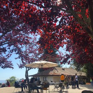 Image post by @ucsc on Instagram