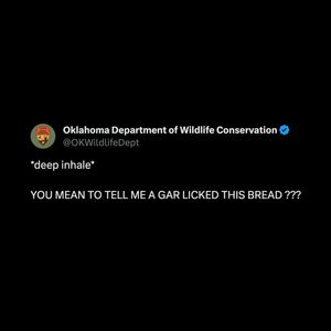 Image post by @okwildlifedept on Instagram