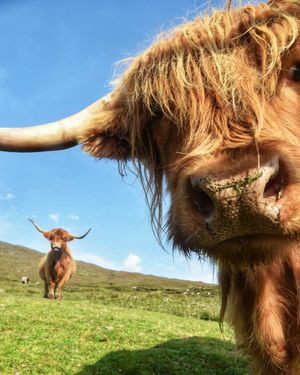 Image post by @visitscotland on Instagram