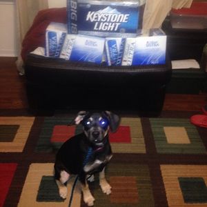 Image post by @_nomoney_11b on Instagram