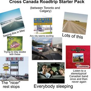 Image post by @calgary.wildin on Instagram