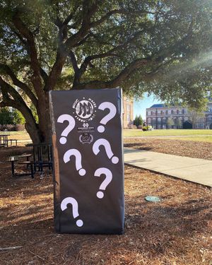 Image post by @msu_mmp on Instagram