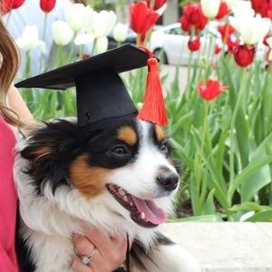 Image post by @iubloomington on Instagram