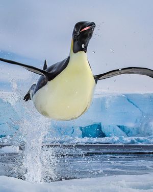 Image post by @natgeo on Instagram