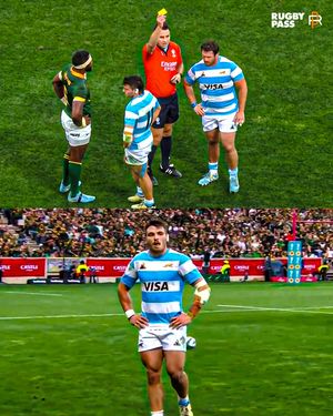 Image post by @rugbypass on Instagram